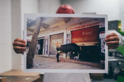 DSCF4326.jpg Thumbnail