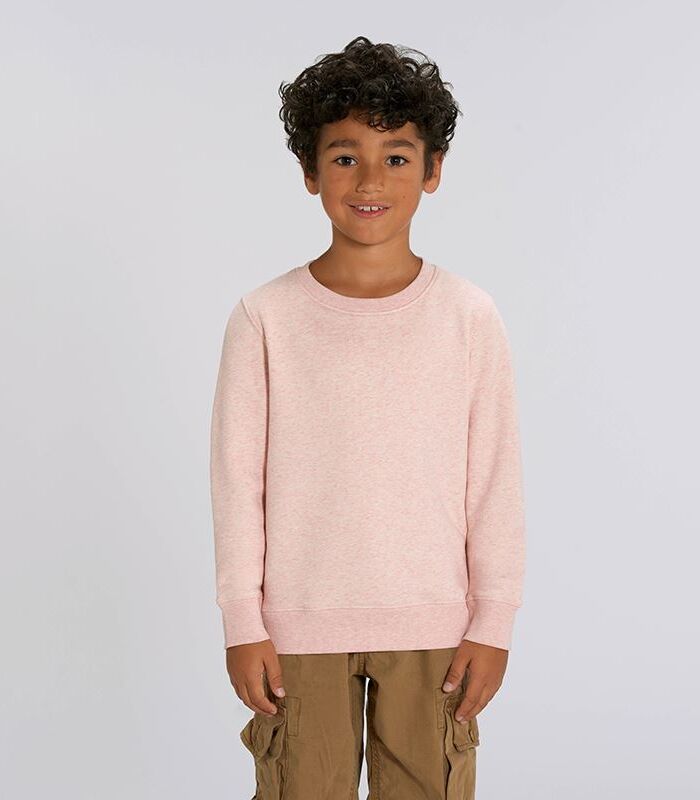 Kids mini Changer iconic crew neck sweatshirt (STSK913) Thumbnail
