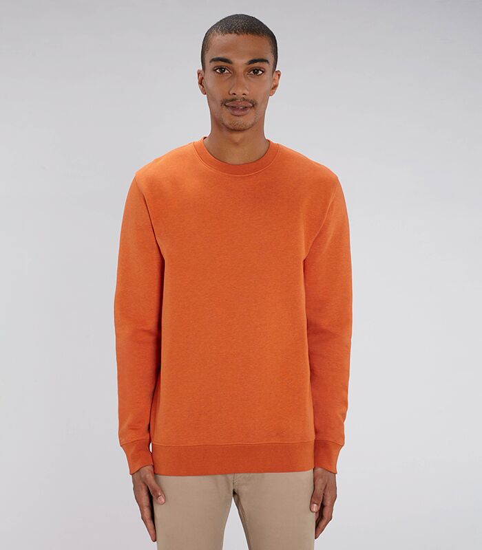 Unisex Changer iconic crew neck sweatshirt (STSU823) Thumbnail