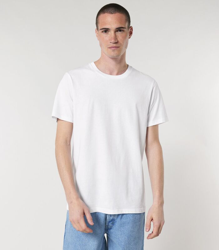 Freestyler relaxed heavy t-shirt (STTU788) Thumbnail