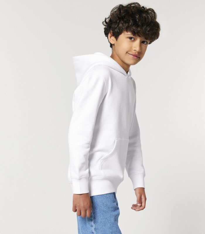 Kids Mini Cruiser 2.0 iconic hoodie sweatshirt (STSK180) Thumbnail