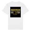 Rocker the essential unisex t-shirt (STTU758) Thumbnail